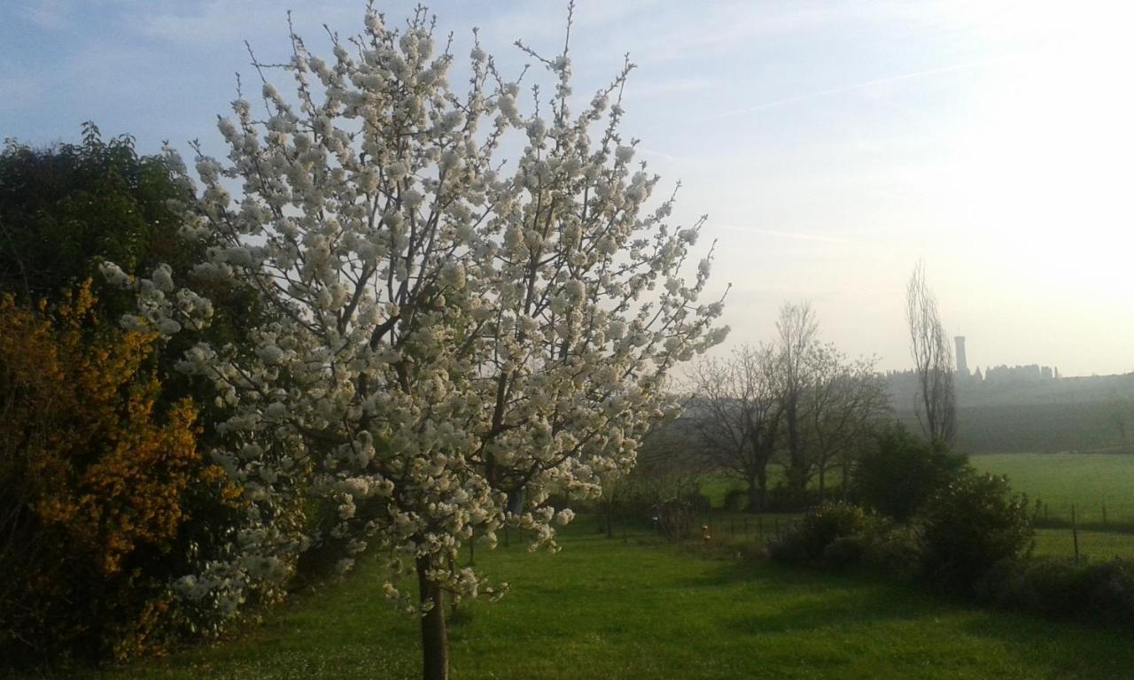 Monte Maino Bed & Breakfast Desenzano del Garda Extérieur photo