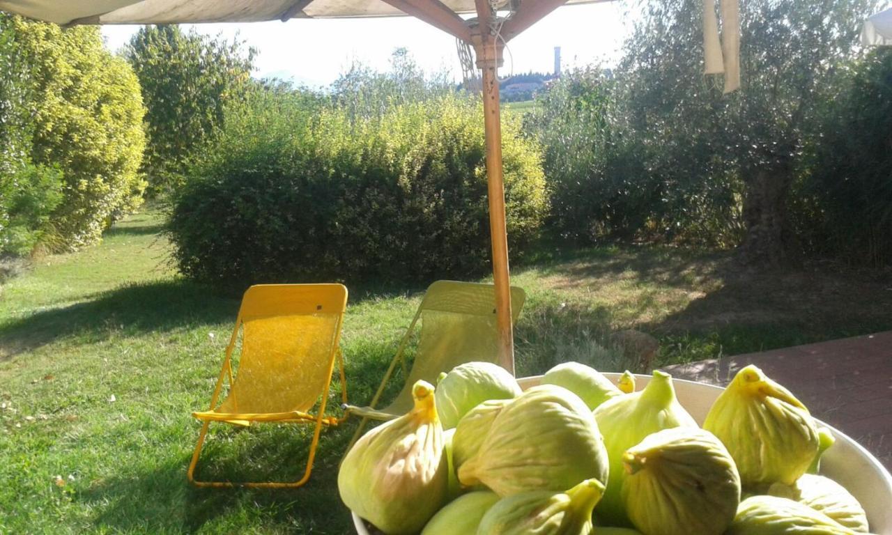 Monte Maino Bed & Breakfast Desenzano del Garda Extérieur photo